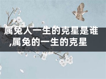 属兔人一生的克星是谁,属兔的一生的克星