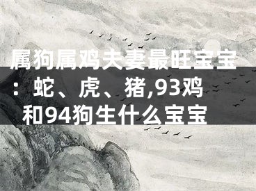 属狗属鸡夫妻最旺宝宝：蛇、虎、猪,93鸡和94狗生什么宝宝