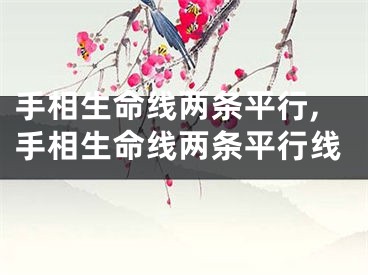 手相生命线两条平行,手相生命线两条平行线