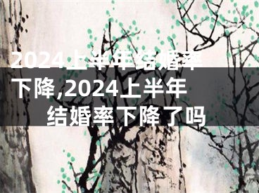 2024上半年结婚率下降,2024上半年结婚率下降了吗