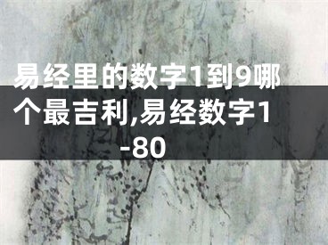 易经里的数字1到9哪个最吉利,易经数字1-80