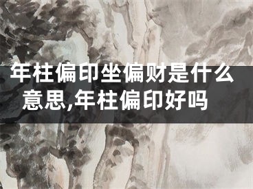 年柱偏印坐偏财是什么意思,年柱偏印好吗