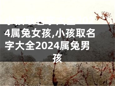 小孩取名字大全2024属兔女孩,小孩取名字大全2024属兔男孩