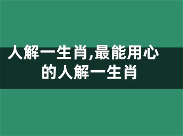 人解一生肖,最能用心的人解一生肖