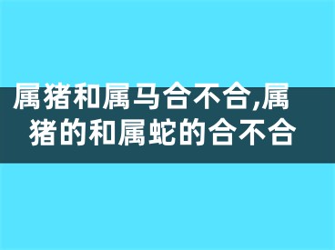 属猪和属马合不合,属猪的和属蛇的合不合