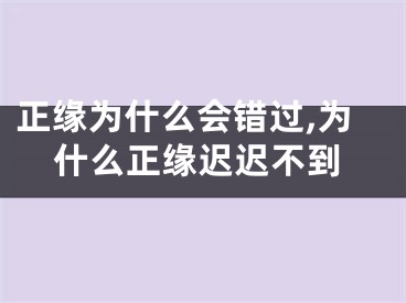 正缘为什么会错过,为什么正缘迟迟不到