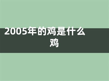 2005年的鸡是什么鸡