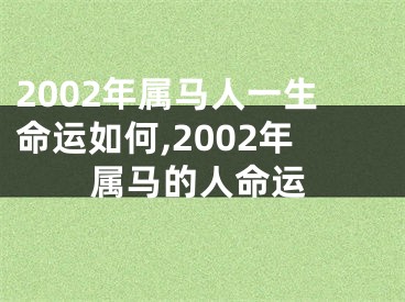 2002年属马人一生命运如何,2002年属马的人命运