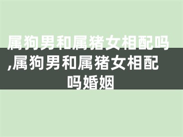 属狗男和属猪女相配吗,属狗男和属猪女相配吗婚姻