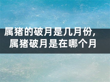 属猪的破月是几月份,属猪破月是在哪个月