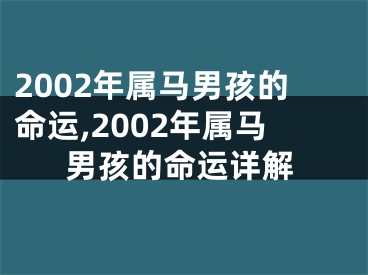 2002年属马男孩的命运,2002年属马男孩的命运详解