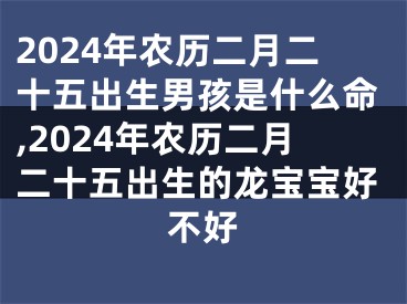 2024年农历二月二十五出生男孩是什么命,2024年农历二月二十五出生的龙宝宝好不好