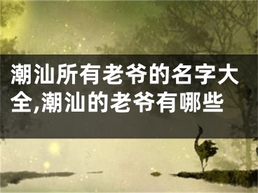 潮汕所有老爷的名字大全,潮汕的老爷有哪些