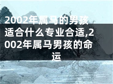 2002年属马的男孩适合什么专业合适,2002年属马男孩的命运