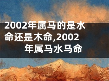 2002年属马的是水命还是木命,2002年属马水马命