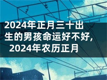 2024年正月三十出生的男孩命运好不好,2024年农历正月
