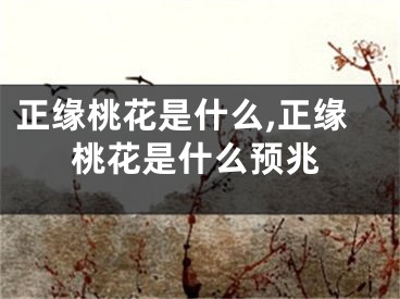 正缘桃花是什么,正缘桃花是什么预兆
