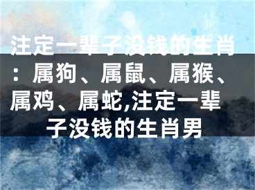 注定一辈子没钱的生肖：属狗、属鼠、属猴、属鸡、属蛇,注定一辈子没钱的生肖男