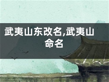 武夷山东改名,武夷山命名