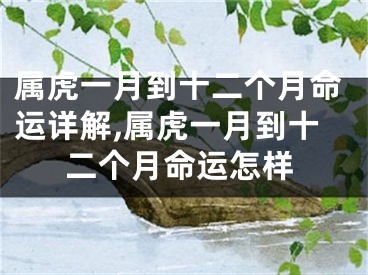 属虎一月到十二个月命运详解,属虎一月到十二个月命运怎样