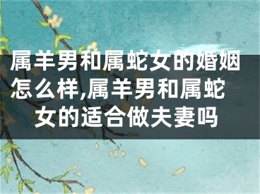 属羊男和属蛇女的婚姻怎么样,属羊男和属蛇女的适合做夫妻吗