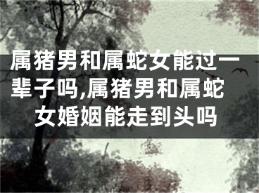 属猪男和属蛇女能过一辈子吗,属猪男和属蛇女婚姻能走到头吗