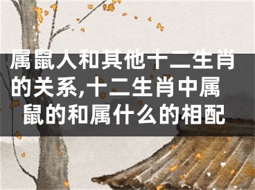 属鼠人和其他十二生肖的关系,十二生肖中属鼠的和属什么的相配