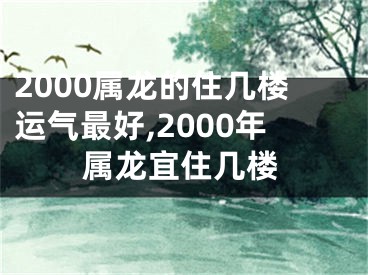 2000属龙的住几楼运气最好,2000年属龙宜住几楼