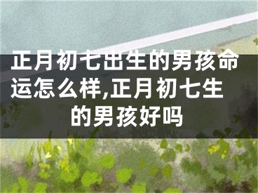 正月初七出生的男孩命运怎么样,正月初七生的男孩好吗