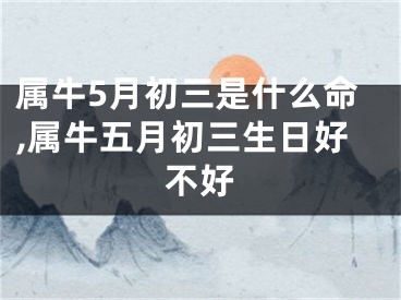 属牛5月初三是什么命,属牛五月初三生日好不好