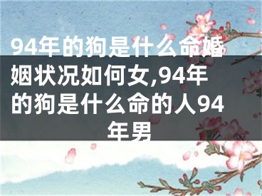 94年的狗是什么命婚姻状况如何女,94年的狗是什么命的人94年男