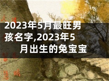 2023年5月最旺男孩名字,2023年5月出生的兔宝宝