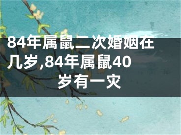84年属鼠二次婚姻在几岁,84年属鼠40岁有一灾