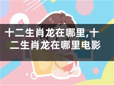十二生肖龙在哪里,十二生肖龙在哪里电影