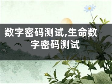 数字密码测试,生命数字密码测试