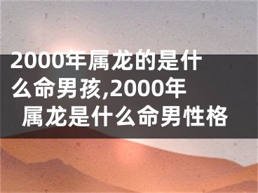 2000年属龙的是什么命男孩,2000年属龙是什么命男性格