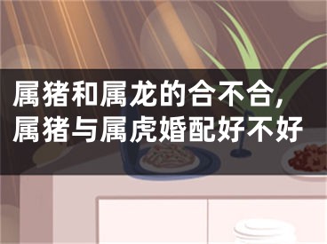 属猪和属龙的合不合,属猪与属虎婚配好不好