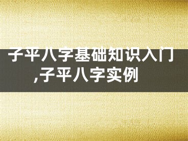 子平八字基础知识入门,子平八字实例