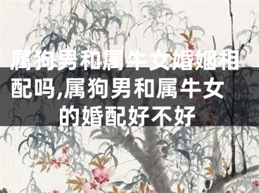 属狗男和属牛女婚姻相配吗,属狗男和属牛女的婚配好不好