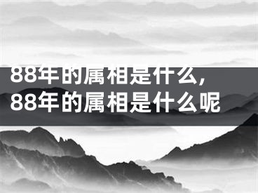 88年的属相是什么,88年的属相是什么呢