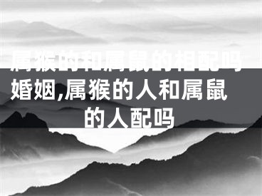 属猴的和属鼠的相配吗婚姻,属猴的人和属鼠的人配吗