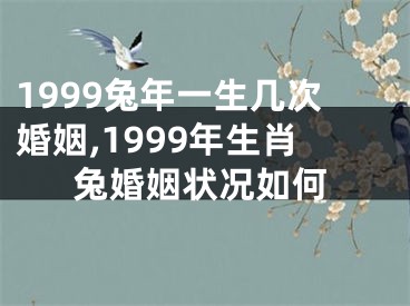 1999兔年一生几次婚姻,1999年生肖兔婚姻状况如何