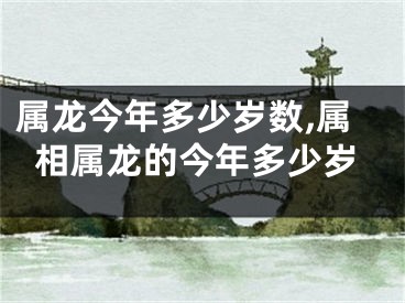 属龙今年多少岁数,属相属龙的今年多少岁