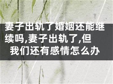 妻子出轨了婚姻还能继续吗,妻子出轨了,但我们还有感情怎么办