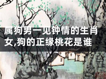 属狗男一见钟情的生肖女,狗的正缘桃花是谁