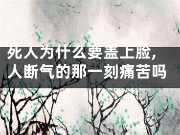 死人为什么要盖上脸,人断气的那一刻痛苦吗