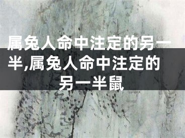 属兔人命中注定的另一半,属兔人命中注定的另一半鼠