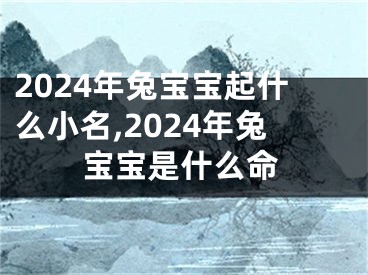 2024年兔宝宝起什么小名,2024年兔宝宝是什么命