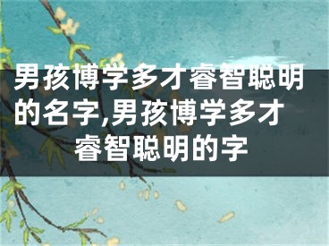 男孩博学多才睿智聪明的名字,男孩博学多才睿智聪明的字