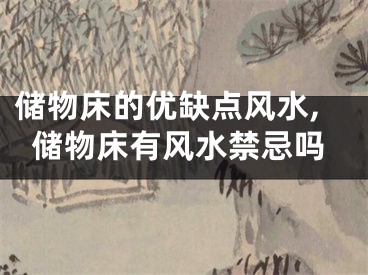 储物床的优缺点风水,储物床有风水禁忌吗